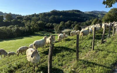Part 2: We the Slow Peoples